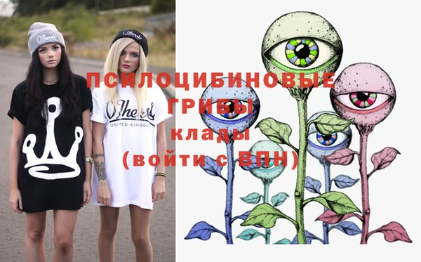 твердый Бронницы
