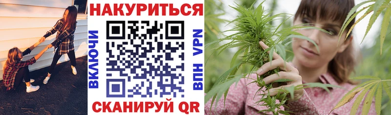купить закладку  Кирсанов  площадка клад  Шишки марихуана сатива 